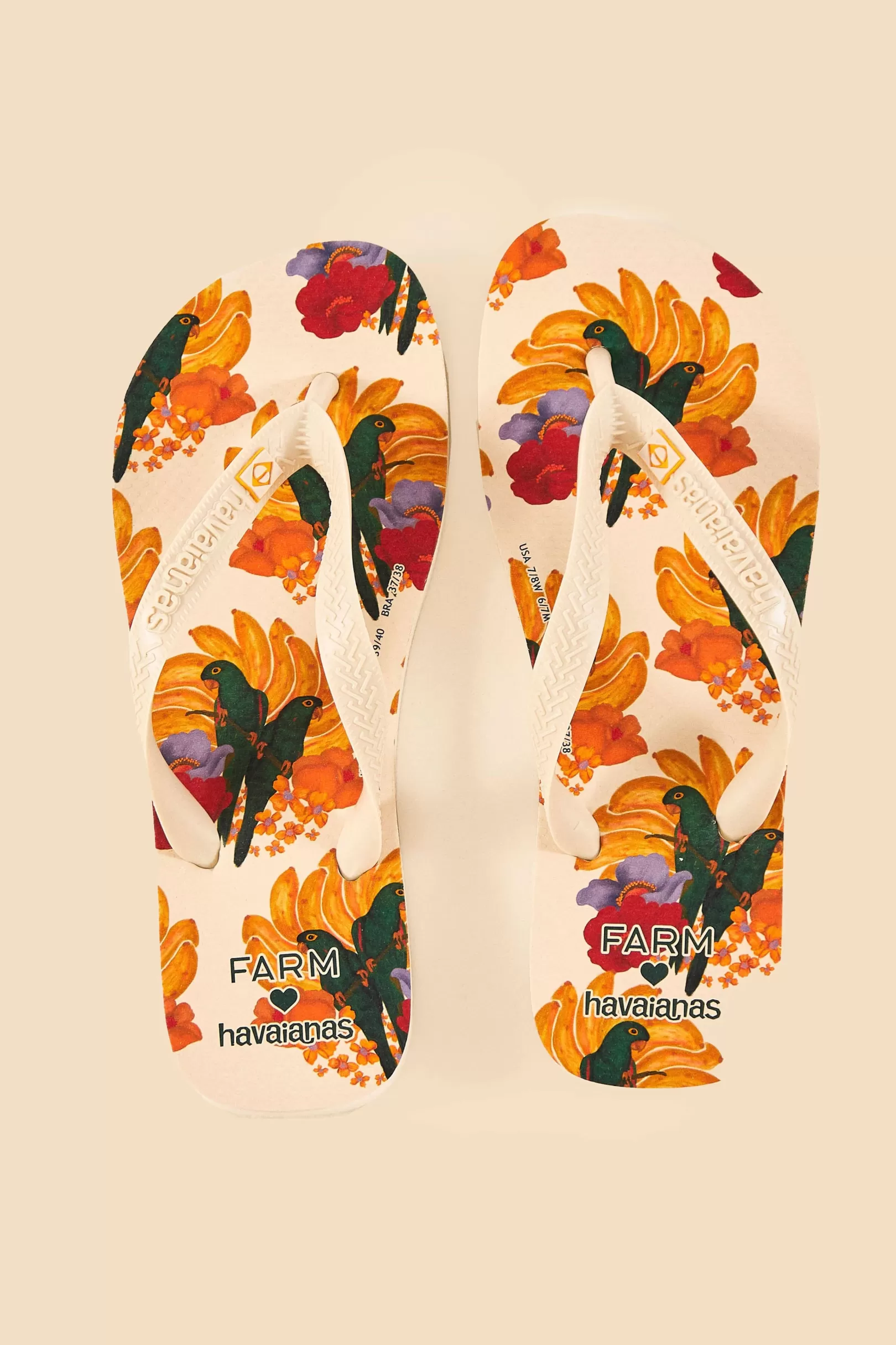 FARM Rio  BANANA NEST HAVAIANAS SANDALS Best